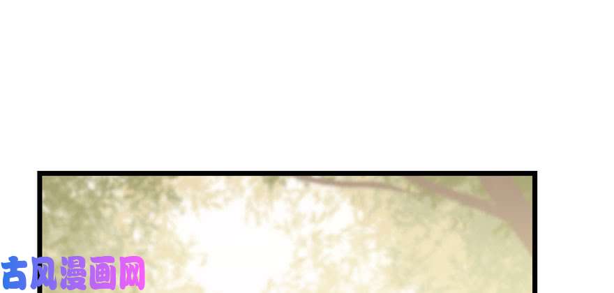 毒步天下：特工神医小兽妃44