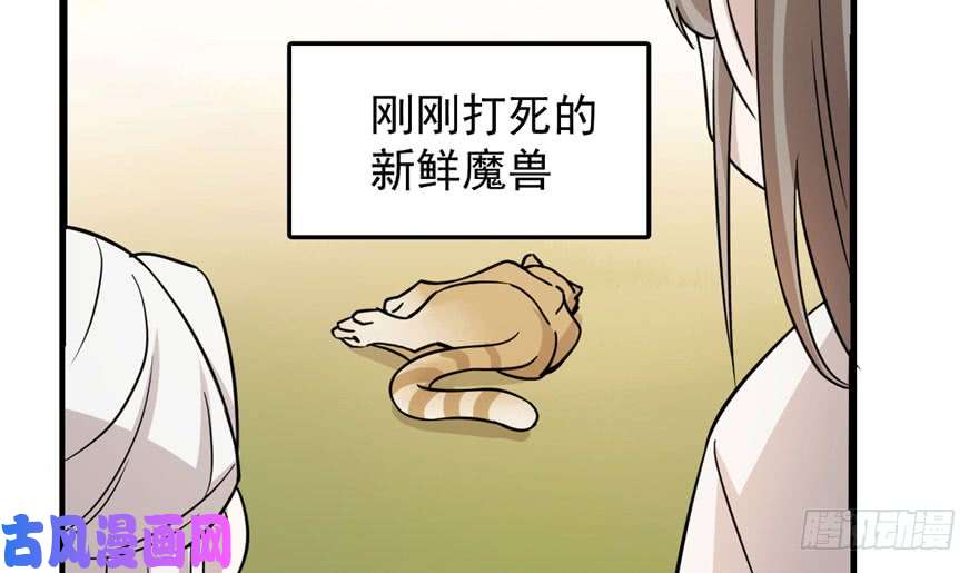 毒步天下：特工神医小兽妃44