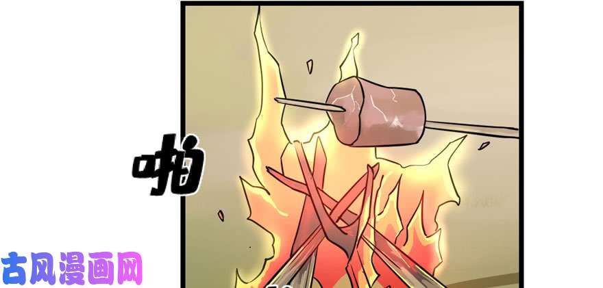 毒步天下：特工神医小兽妃44