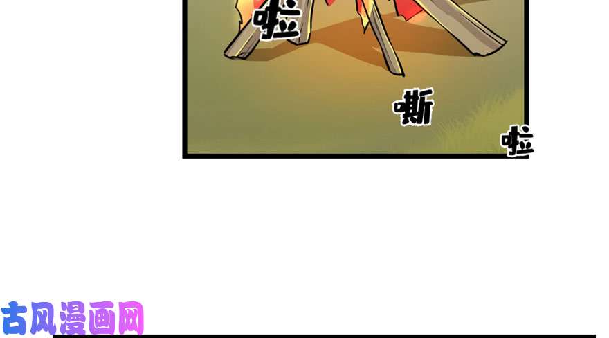 毒步天下：特工神医小兽妃44