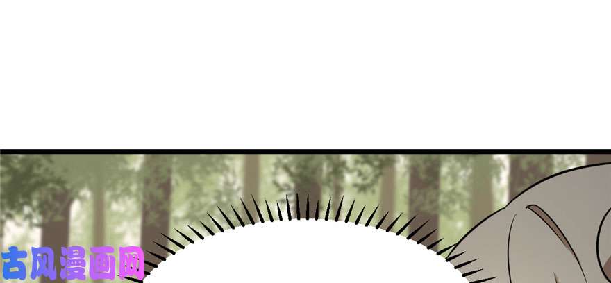 毒步天下：特工神医小兽妃44