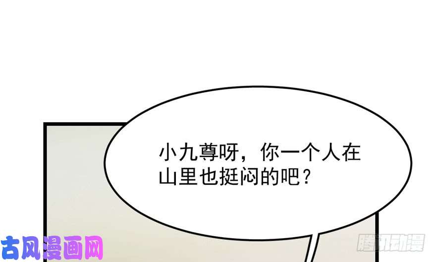 毒步天下：特工神医小兽妃44