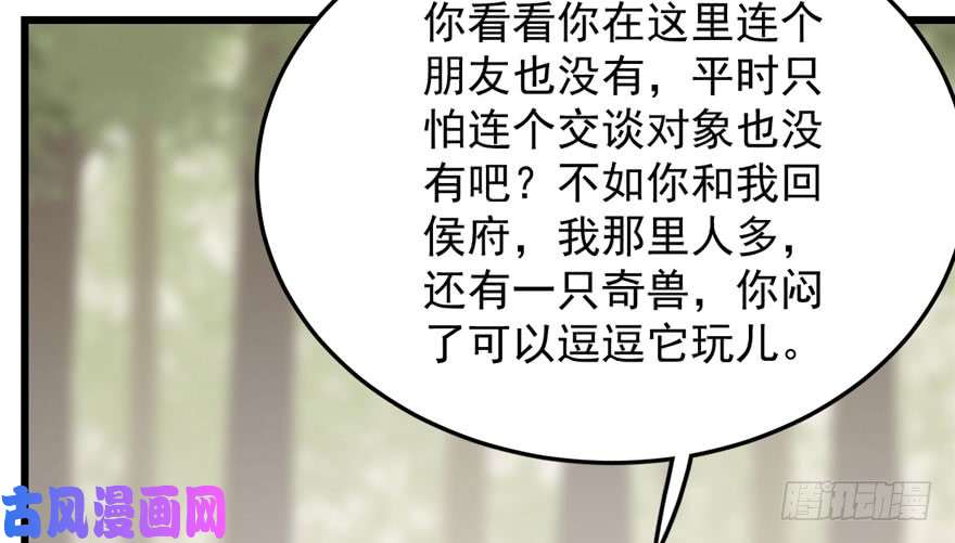 毒步天下：特工神医小兽妃44