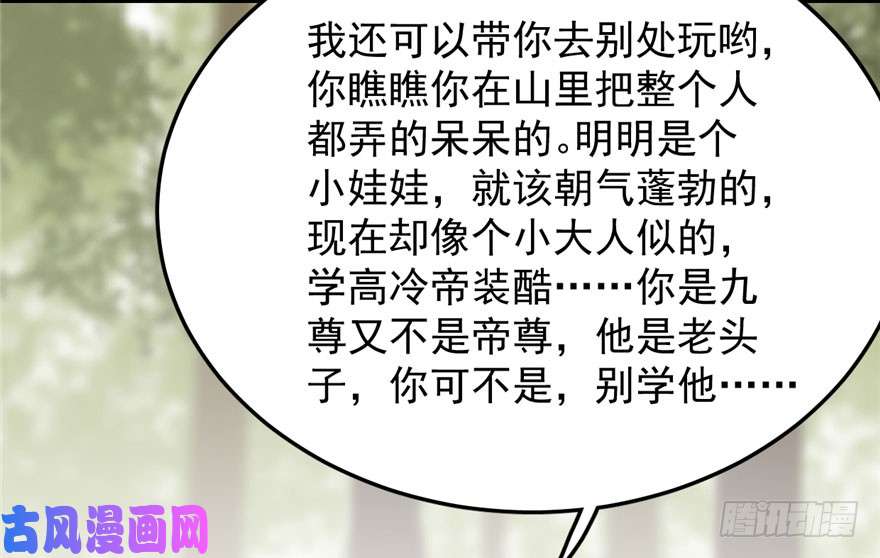 毒步天下：特工神医小兽妃44