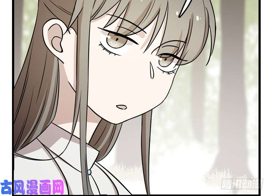 毒步天下：特工神医小兽妃44