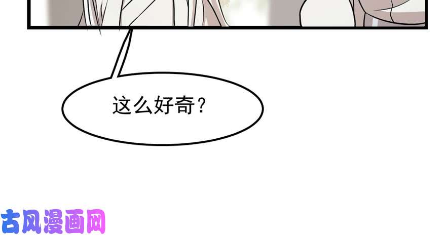 毒步天下：特工神医小兽妃44