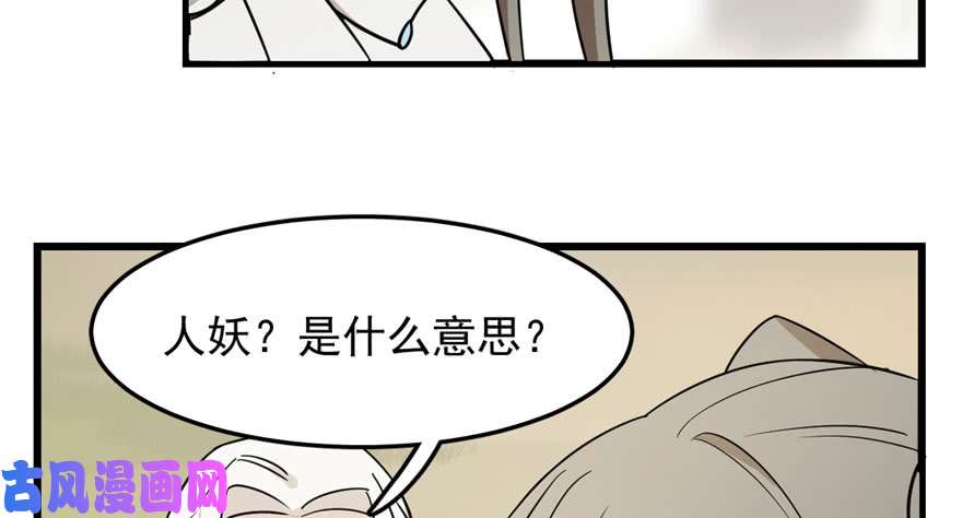 毒步天下：特工神医小兽妃44