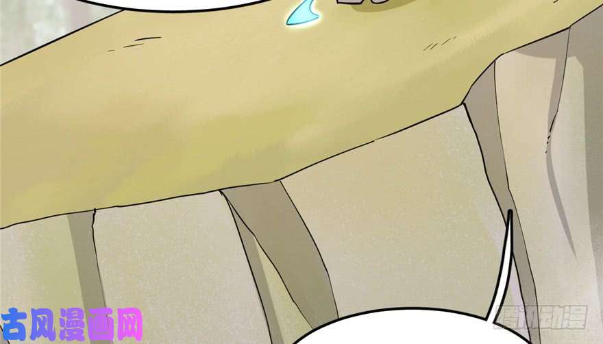 毒步天下：特工神医小兽妃45