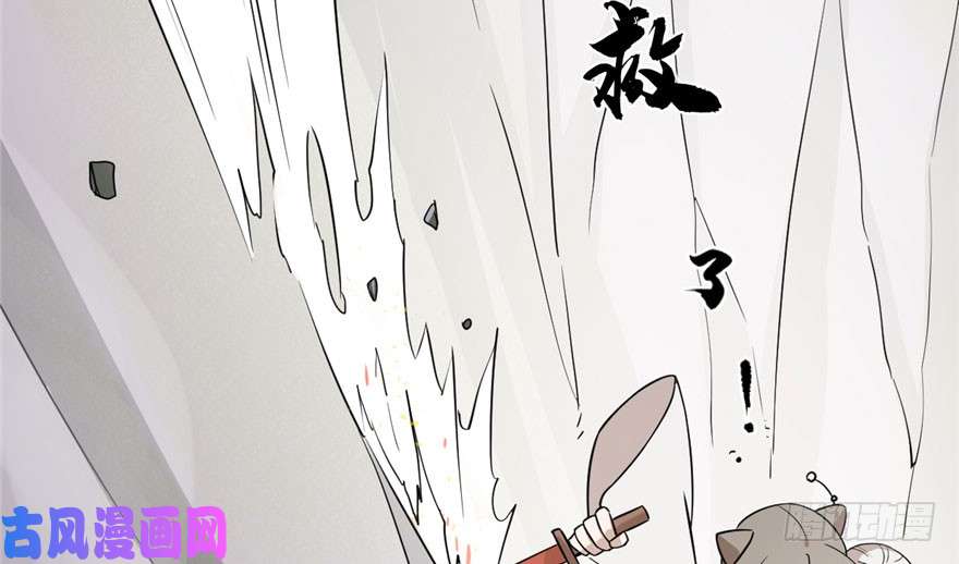 毒步天下：特工神医小兽妃45