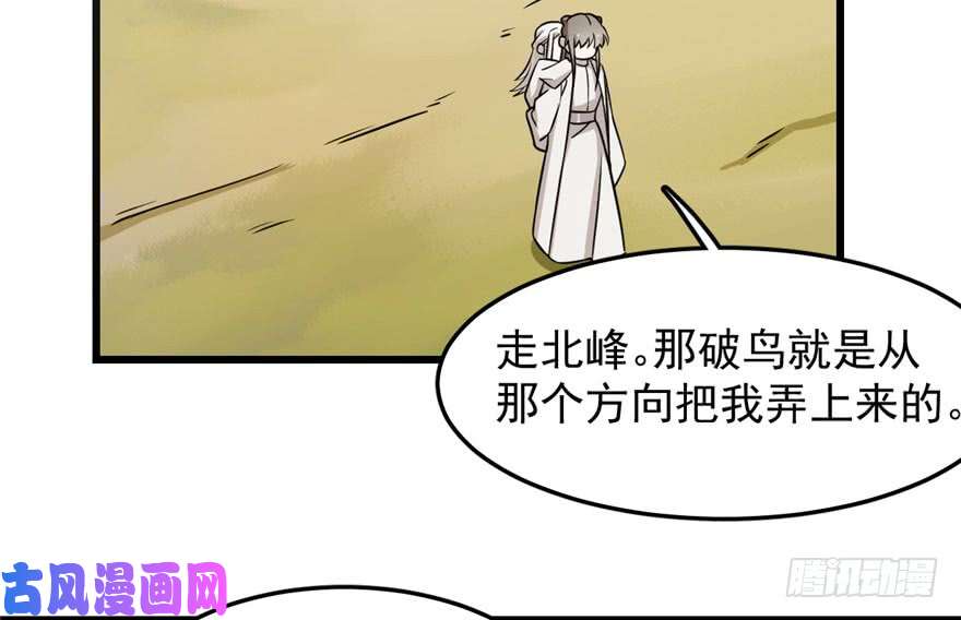 毒步天下：特工神医小兽妃45