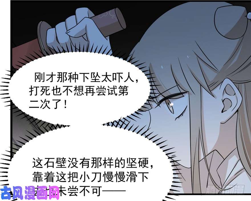 毒步天下：特工神医小兽妃45