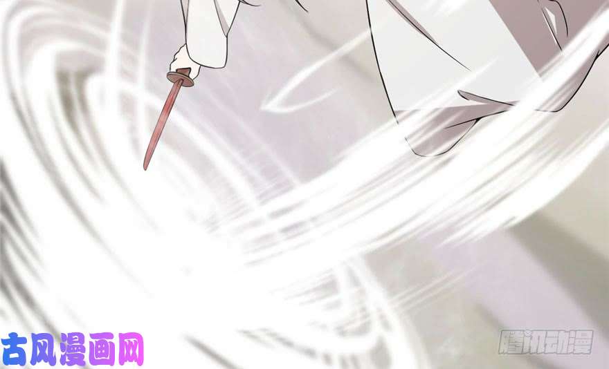 毒步天下：特工神医小兽妃45