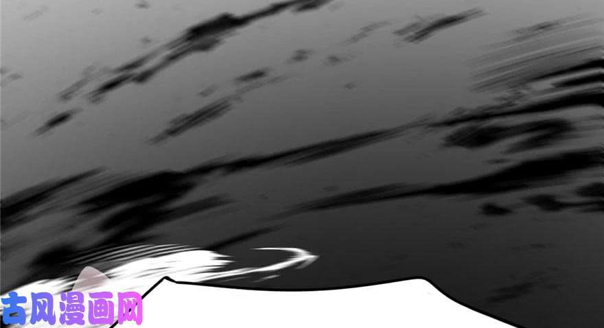 毒步天下：特工神医小兽妃45