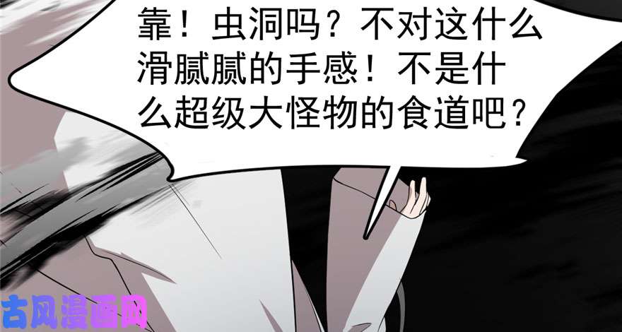 毒步天下：特工神医小兽妃45