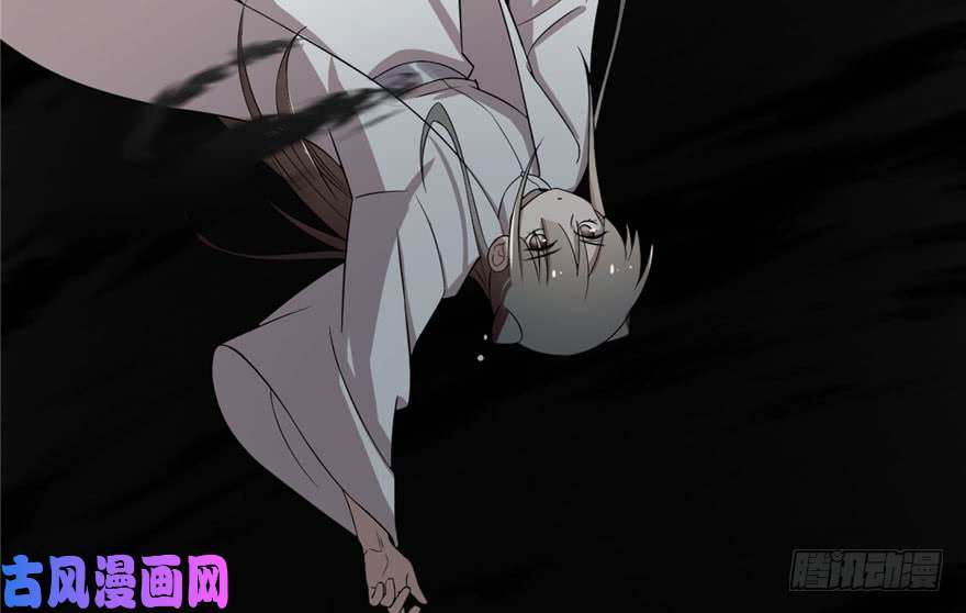 毒步天下：特工神医小兽妃45