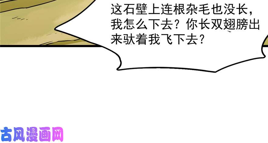 毒步天下：特工神医小兽妃45