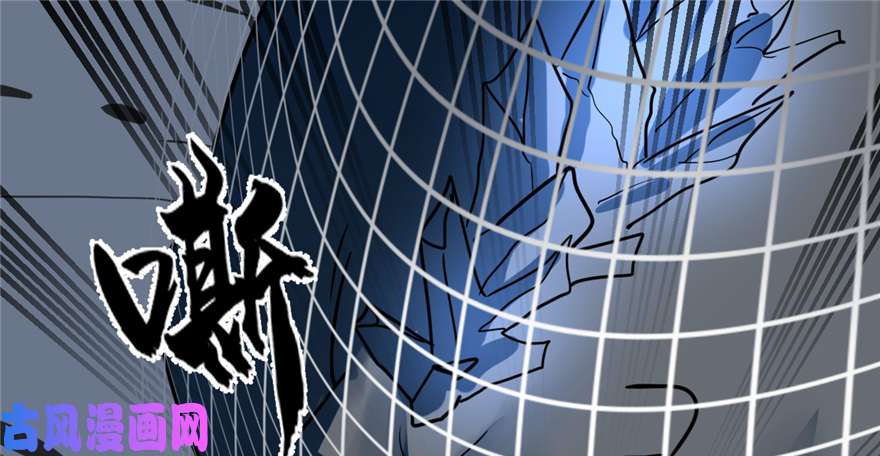 毒步天下：特工神医小兽妃47