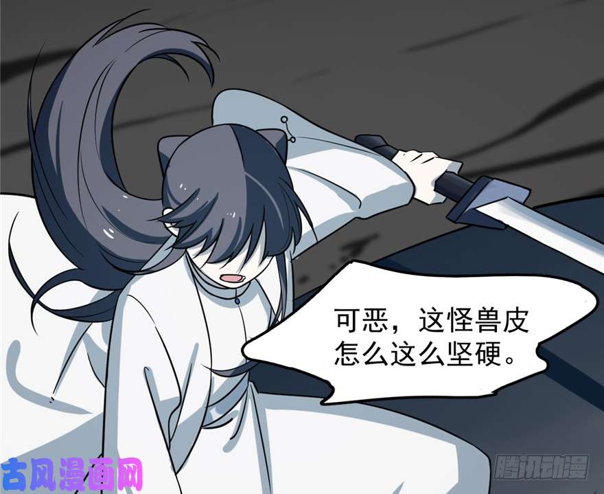 毒步天下：特工神医小兽妃47