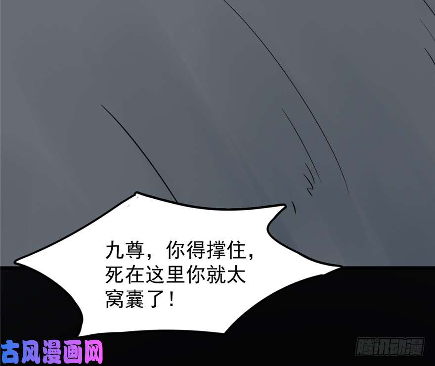 毒步天下：特工神医小兽妃47