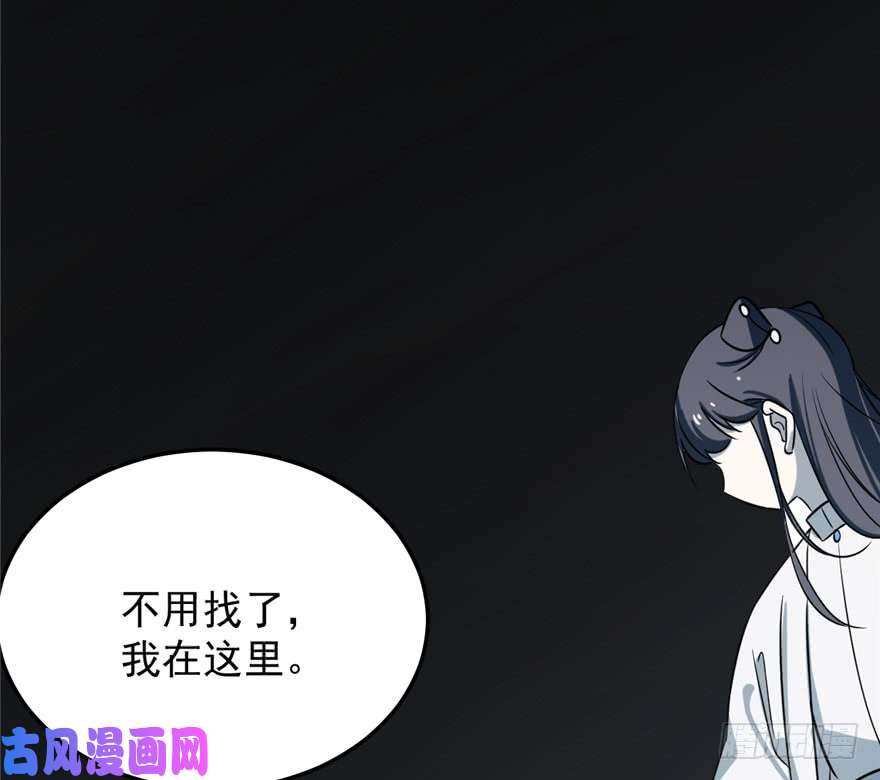 毒步天下：特工神医小兽妃47