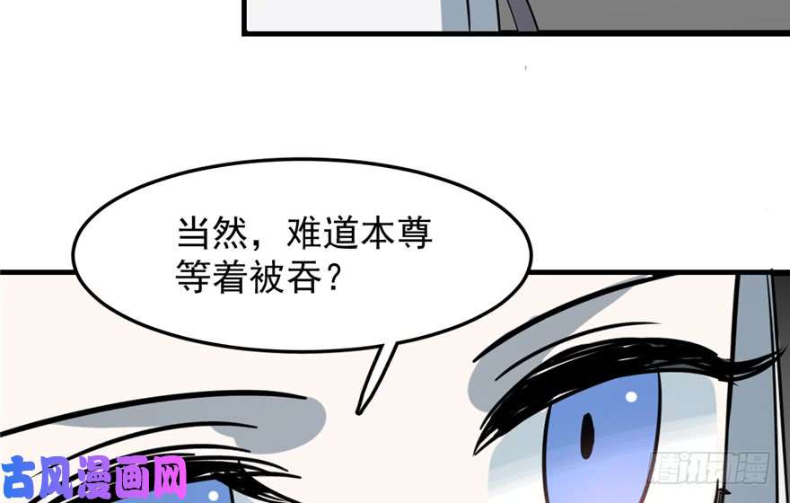 毒步天下：特工神医小兽妃47