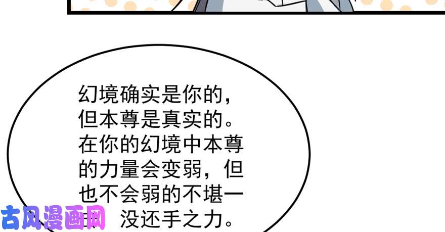 毒步天下：特工神医小兽妃47