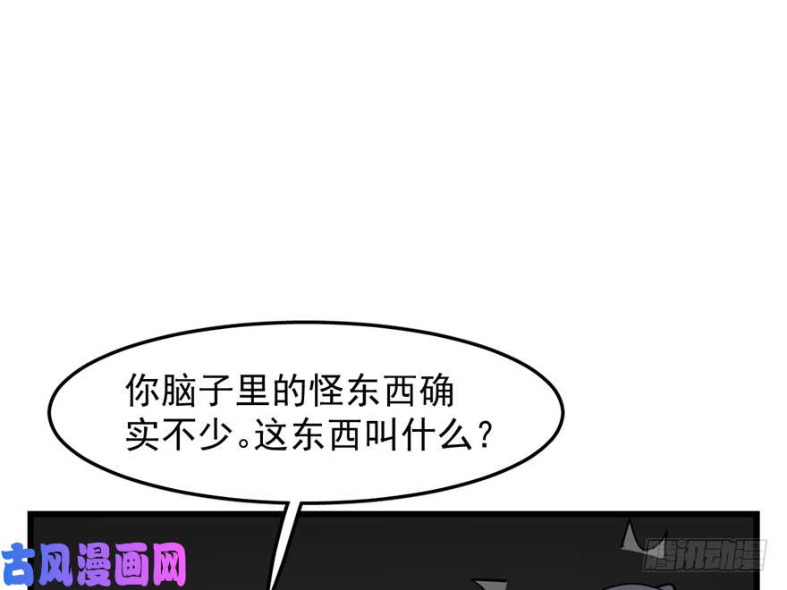 毒步天下：特工神医小兽妃47