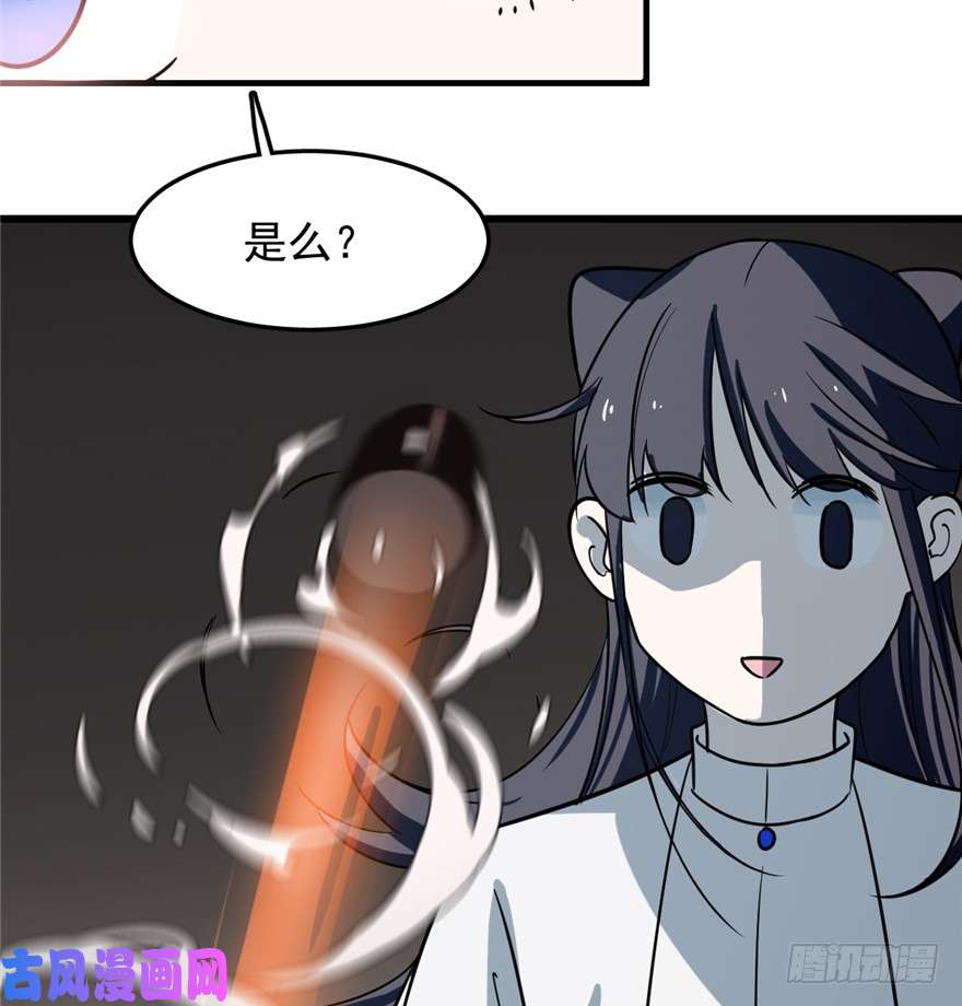 毒步天下：特工神医小兽妃47