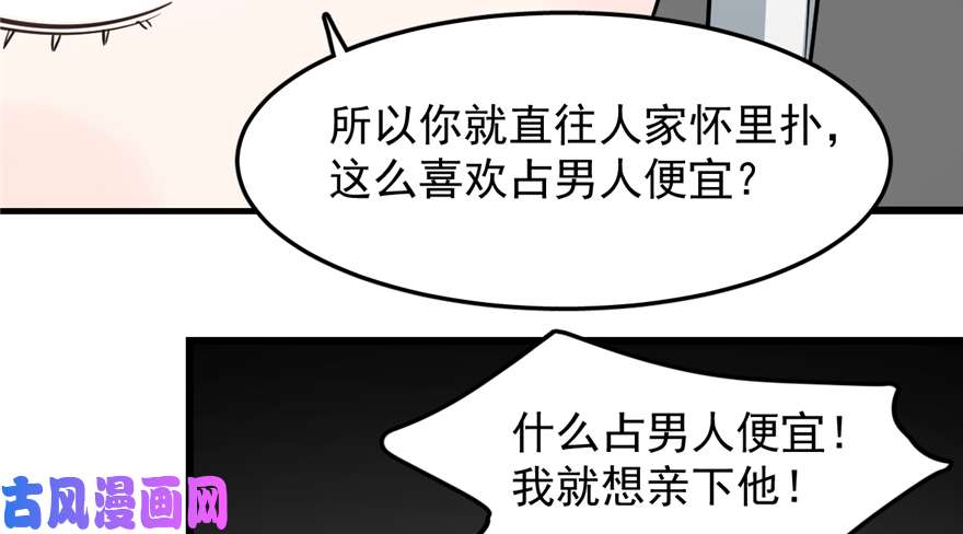 毒步天下：特工神医小兽妃47