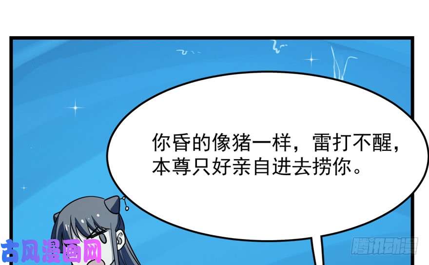 毒步天下：特工神医小兽妃48