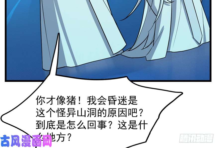 毒步天下：特工神医小兽妃48