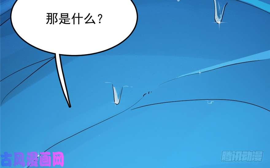 毒步天下：特工神医小兽妃48