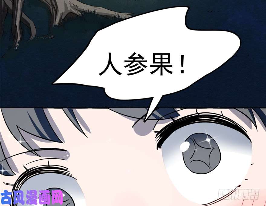 毒步天下：特工神医小兽妃49