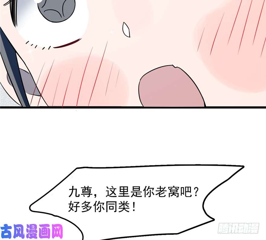 毒步天下：特工神医小兽妃49