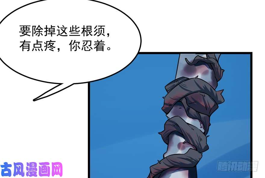 毒步天下：特工神医小兽妃49