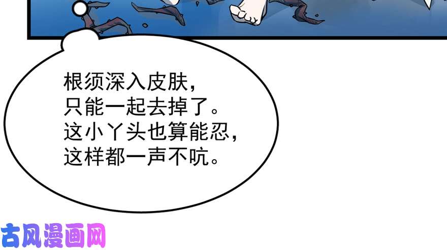 毒步天下：特工神医小兽妃49