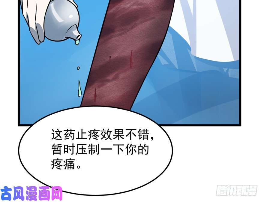 毒步天下：特工神医小兽妃49