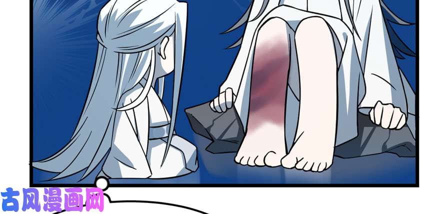 毒步天下：特工神医小兽妃49