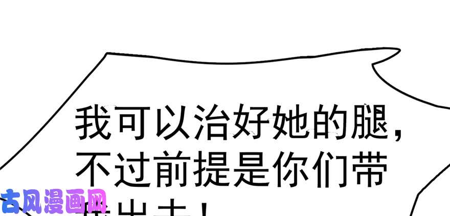 毒步天下：特工神医小兽妃49