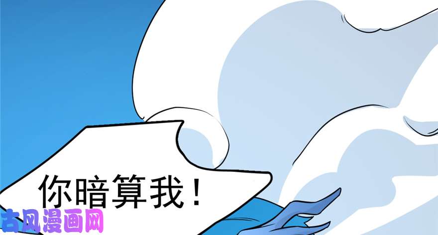 毒步天下：特工神医小兽妃49