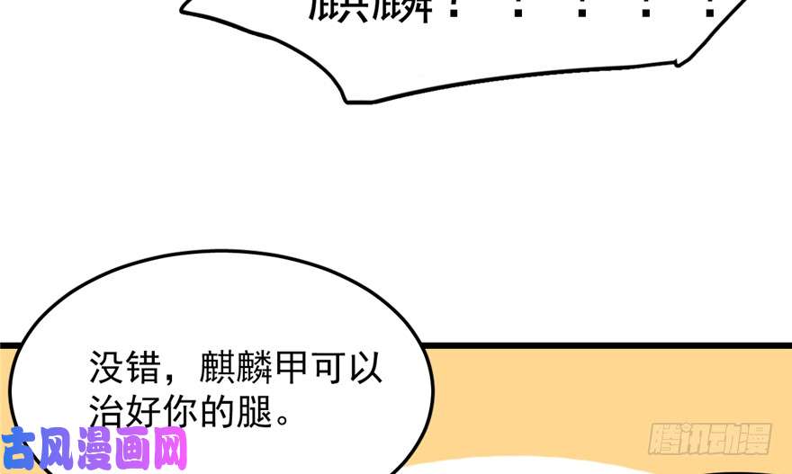 毒步天下：特工神医小兽妃49