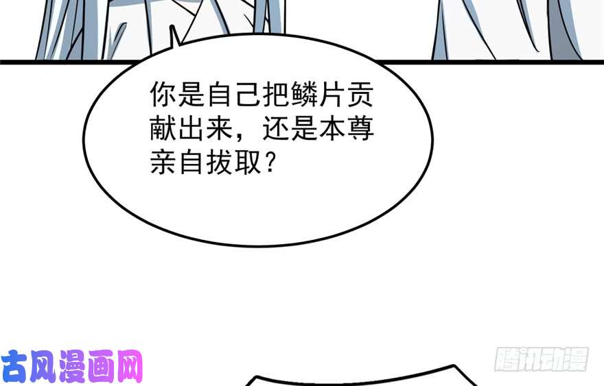 毒步天下：特工神医小兽妃49