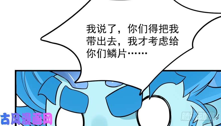 毒步天下：特工神医小兽妃49