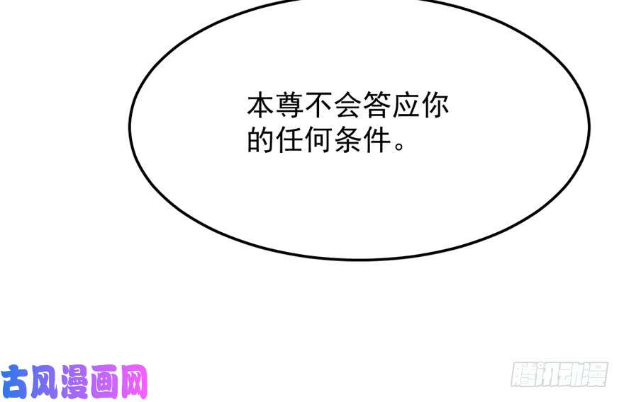 毒步天下：特工神医小兽妃49