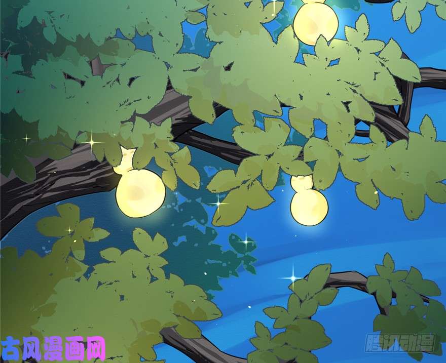 毒步天下：特工神医小兽妃49