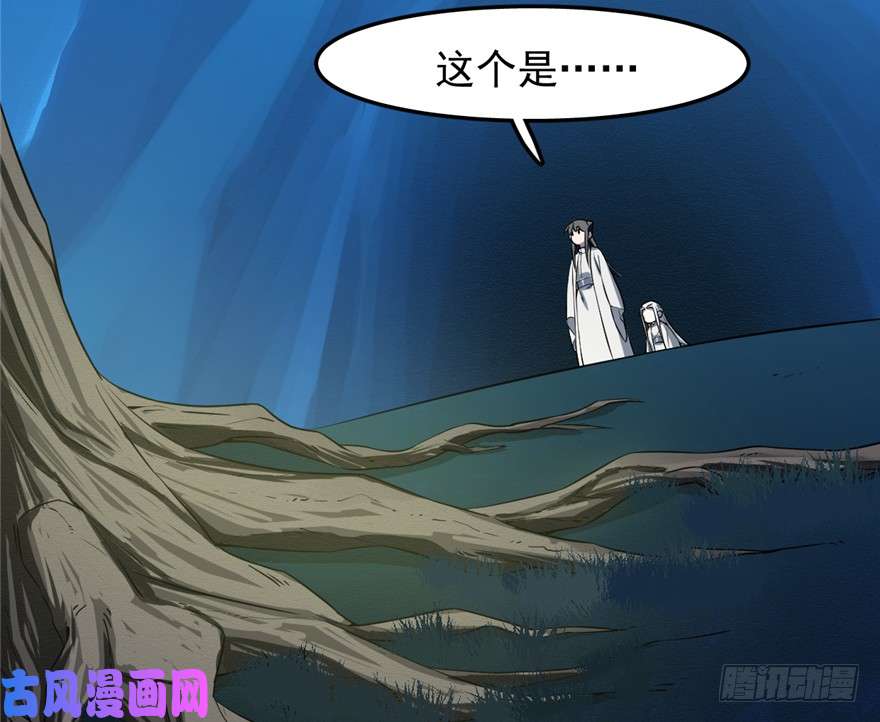 毒步天下：特工神医小兽妃49