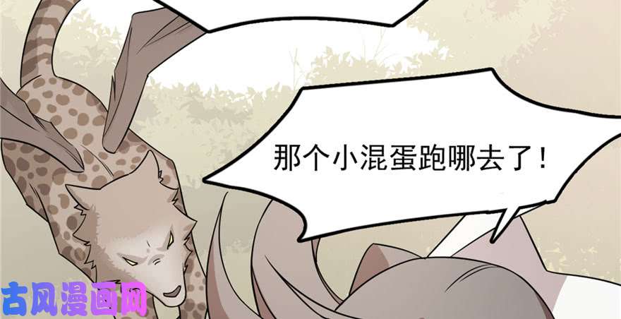 毒步天下：特工神医小兽妃51