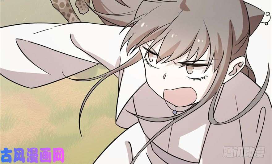 毒步天下：特工神医小兽妃51