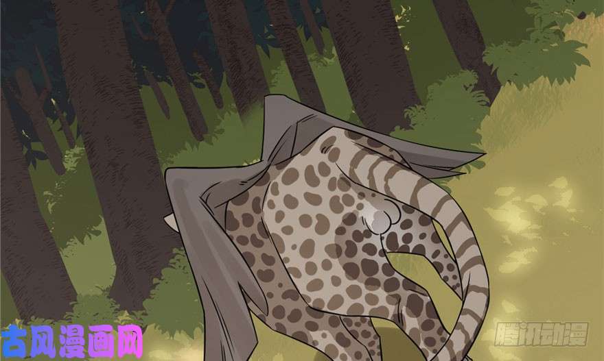 毒步天下：特工神医小兽妃51