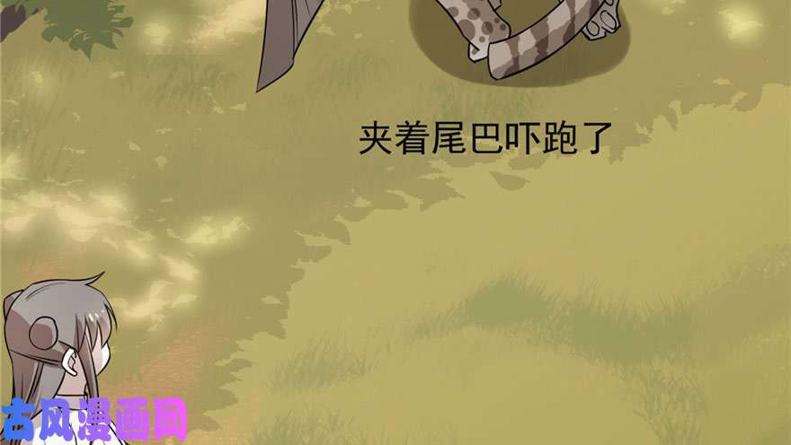 毒步天下：特工神医小兽妃51